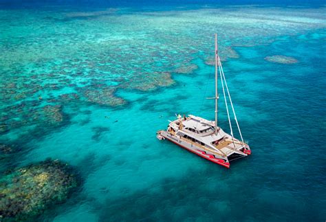 Great Barrier Reef Tours Cairns Award Winning Dive