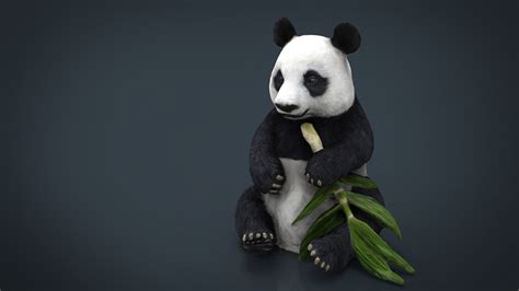 Animals 3d Ar Panda