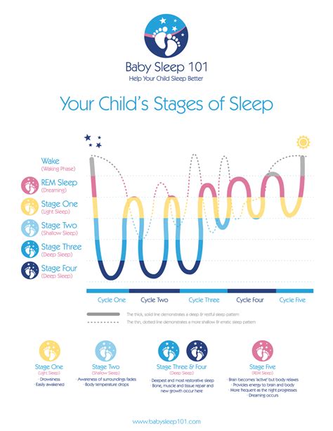 Sleep Stages Chart