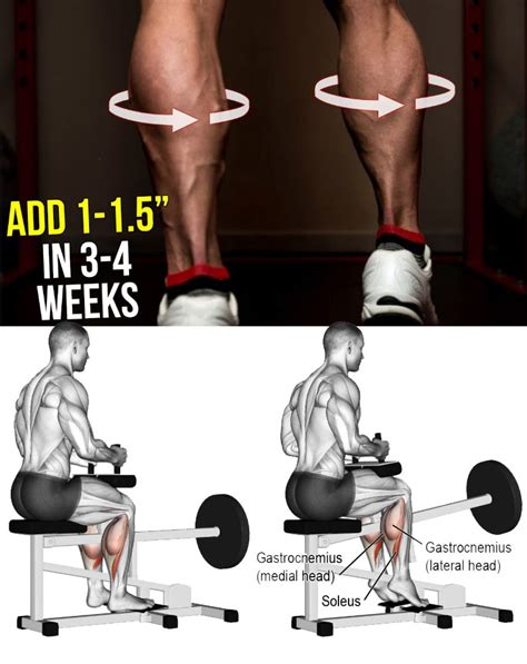 How To Get Bigger Calves Video And Guide
