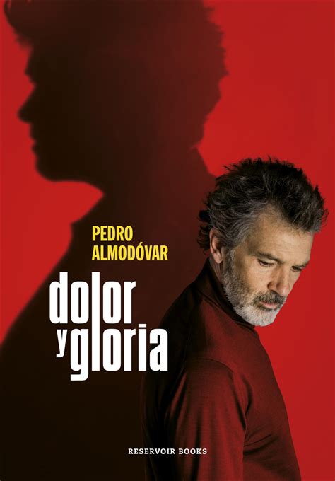 Dolor Y Gloria Almodóvar Ver Película - 'Dolor y Gloria', de Pedro Almodóvar, preseleccionada para el Oscar a