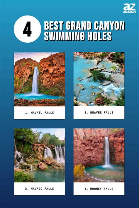 The 4 Best Grand Canyon Swimming Holes