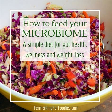 Microbiome Diet Fermenting For Foodies