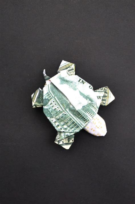 Origami Sea Turtle Dollar Bill