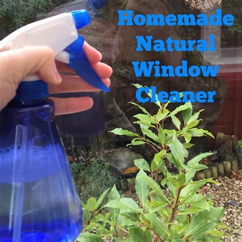 Homemade Natural Window Cleaner Daisies And Pie