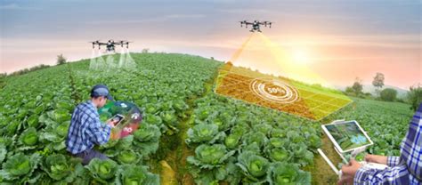 Tecnologia Na Agricultura Importância Tipos Implementação