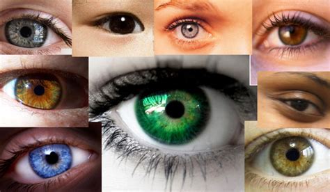 Rarest Eye Color In Humans Rare Eye Colors Eye Color Facts Eye Color