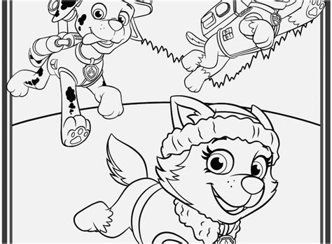Paw Patrol Skye And Everest Coloring Pages Reverasite