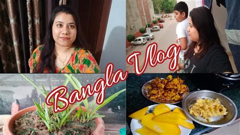এভাবে আর পারা যাচ্ছে না আসবে আসবে কোরে ও এলো না 😞 Bengalivlog Youtube