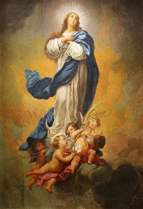 Why Do We Celebrate The Immaculate Conception National Shrine Of The