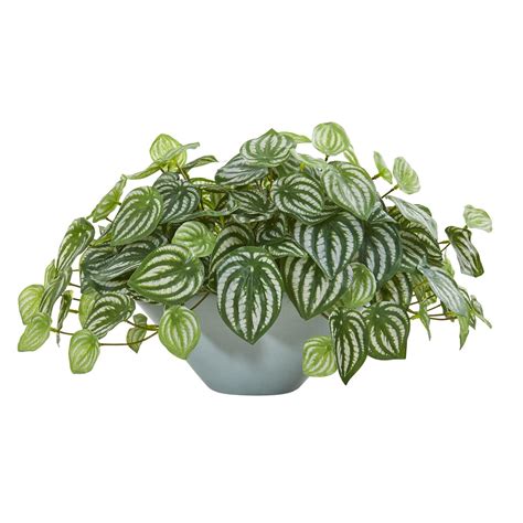 19 Watermelon Peperomia Artificial Plant In Green Vase