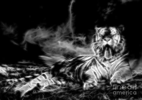 Tired Tiger Photograph By Bigcity Images Fine Art America