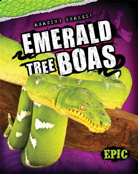 Emerald Tree Boas Childrens Book By Emily Rose Oachs Discover
