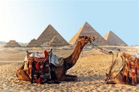 Pyramídy V Gíze Egypt Visit Egypt Egypt Travel Egypt Tours