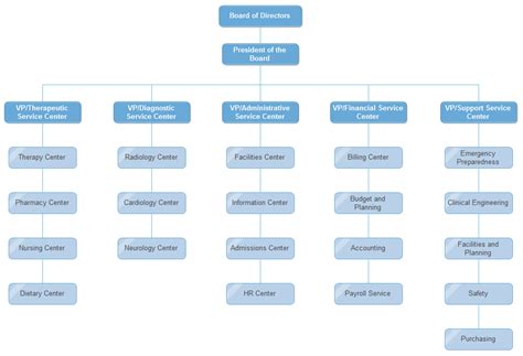 Hospital Org Chart Flow Chart Template Org Chart Organizational Chart