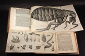Micrographia by Robert Hooke 18th Century | Rare books, Robert hooke ...