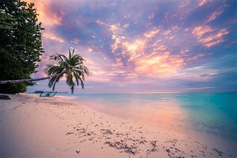 Tropical Beach Sunset Wallpaper And Background Image
