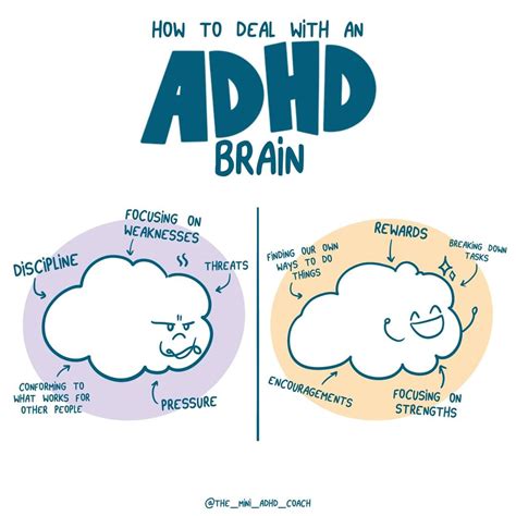Adhd Brain