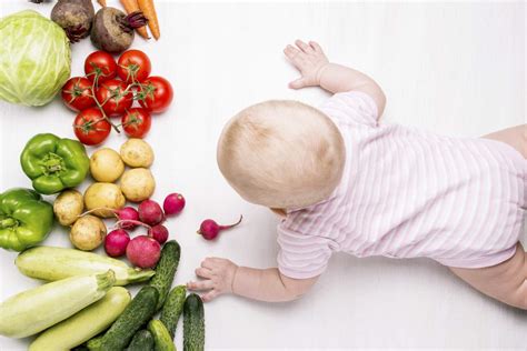 Konfliktpotential gibt es in diesem alter vor allem bei den themen schlafen, essen oder kleidung. Ab wann dürfen Babys Zucchini essen? | Babyled Weaning