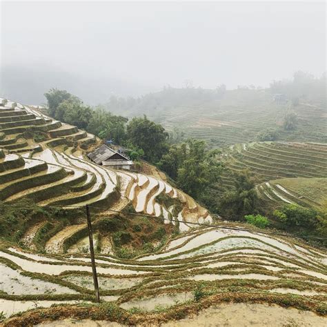 Misty Sapa Vietnam Beautiful Even Through The Fog Travel