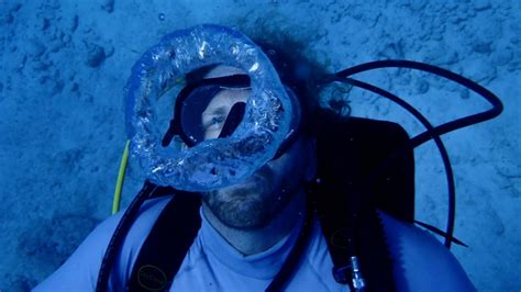 Florida Scientist Breaks Record For Time Spent Living Underwater