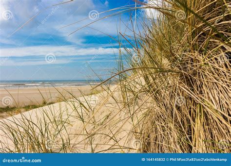 View From Dunes To The Beach On A Sunny Day Through Dune Grass In