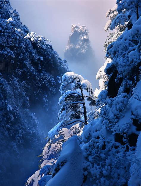 【风光摄影】安徽黄山国家森林公园 森林旅游处 森林旅游