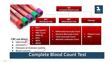 Complete Blood Count Cbc Youtube