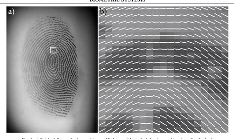 Figure 1 From A Review On Fingerprint Orientation Estimation Methods