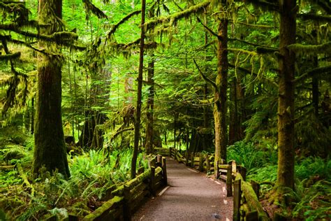 Macmillan Park Bc Parks