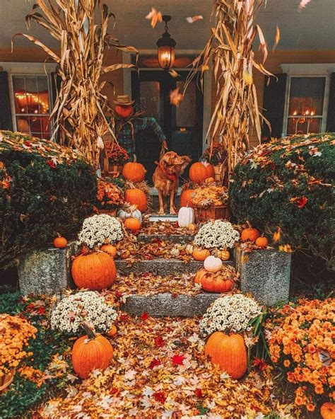 Pin By Allison Levkulich On Wallpaper Gallery Fall Halloween Decor