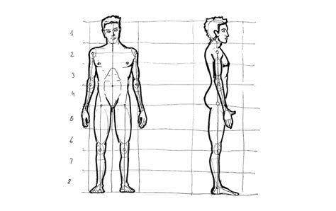 C Mo Aprender A Dibujar La Figura Humana Y Sus Proporciones