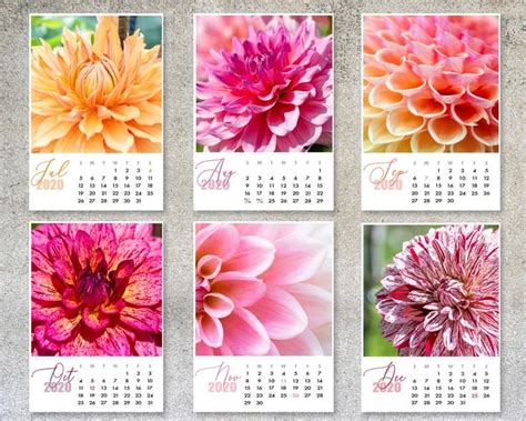 2021 2022 Dahlia Desk Calendar 5”x7” Academic Year Calendar Photo