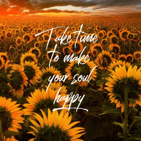 Sunflower Quotes Wallpapers Top Free Sunflower Quotes Backgrounds