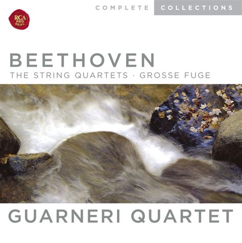 Ludwig Van Beethoven Guarneri Quartet Beethoven The String Quartets