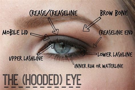 15 Magical Makeup Tips To Beautify Your Hooded Eyes In A Minute