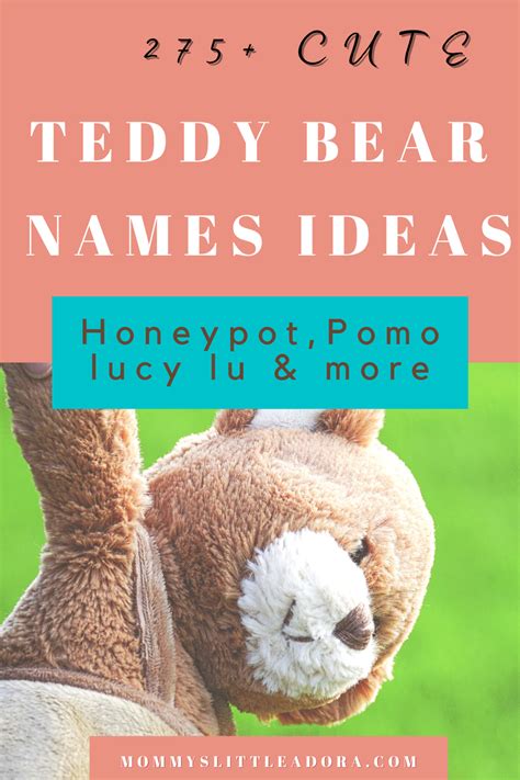 Best 275 Cute Teddy Bear Names Ideas Find Funny Ways To Choose A