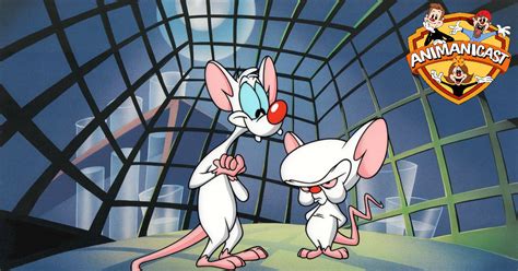 Smart jerk and nice moron: Animanicast 170: The Top Three Pinky and the Brain ...