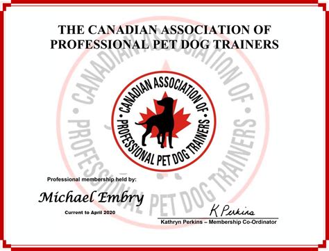 How To Be A Dog Trainer With Certification