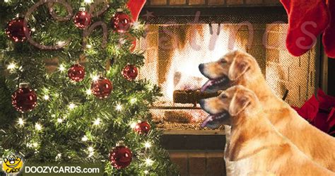 Check spelling or type a new query. Golden Retriever Christmas Cards | Animated Xmas Cards