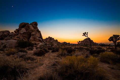 Free Download Joshua Tree National Park Wallpaper 1920x1280 For