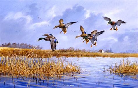 Goose Hunting Original In Private Collection Waterfowl Paintings
