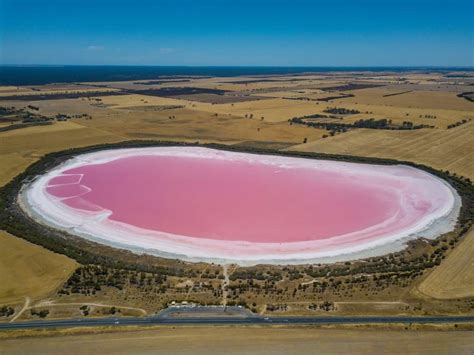 Your Guide To Pretty Pink Lakes Around Victoria