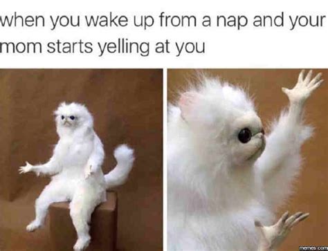 20 Wake Up Memes Thatll Turn Your Day Around