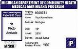 Michigan Physician License