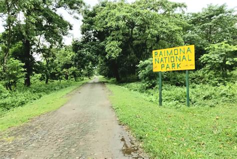 Raimona National Park In Assam Home Of Flora And Fauna