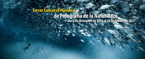 Concurso Nacional De Fotografía De La Naturaleza