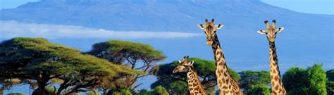Sensational South Africa Holidays Your Endless Travel