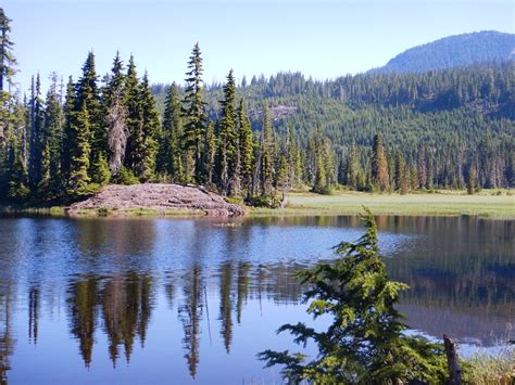 Paradise Meadows Winter To Summer In 3 Weeks Comox Valley