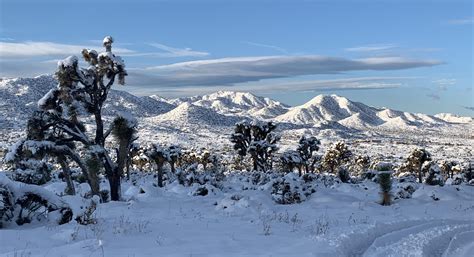 Snow In Joshua Tree National Park Over Christmas Rnationalpark